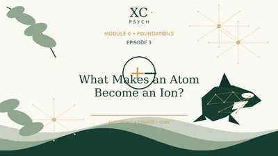 3. What Makes an Atom Become an Ion? featured image