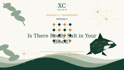 4. Is There Really Salt in Your Blood? 🩸🧂 featured image