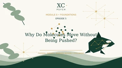 5. Why Do Molecules Move Without Being Pushed? featured image