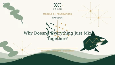 6. Why Doesn't Everything Just Mix Together? featured image