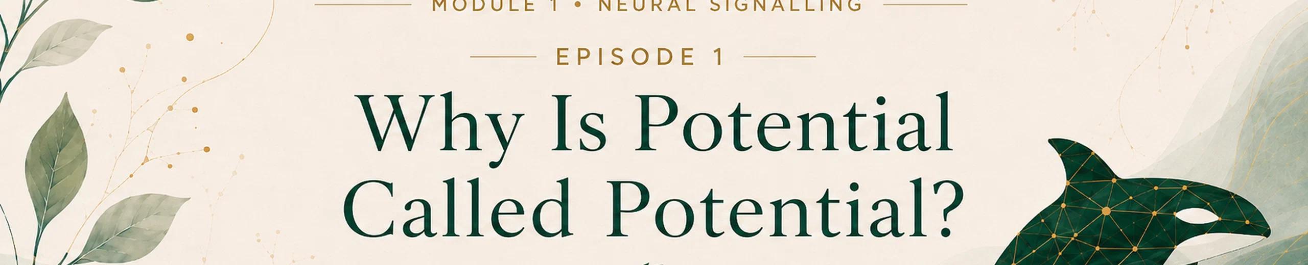 1. Why Is Potential Called Potential?