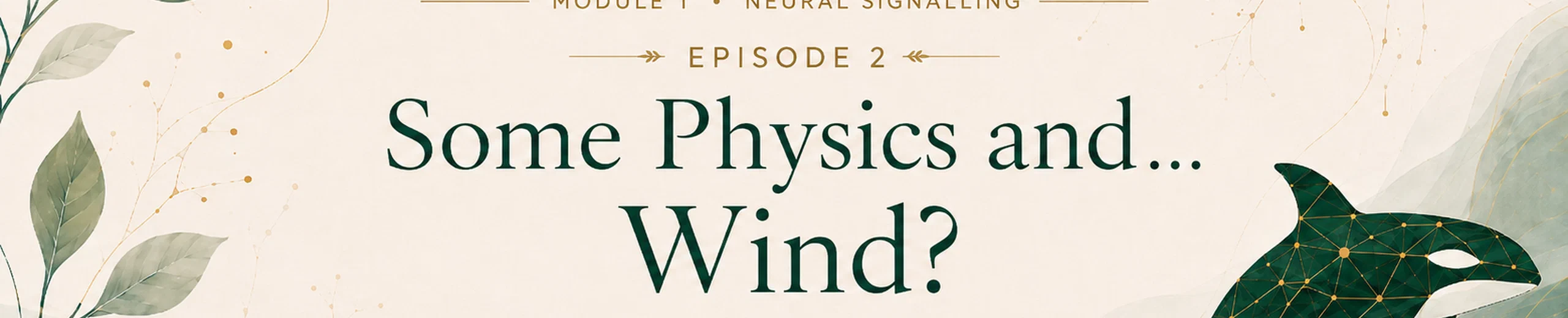 2. Some Physics and... Wind?