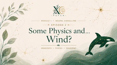 2. Some Physics and... Wind? featured image