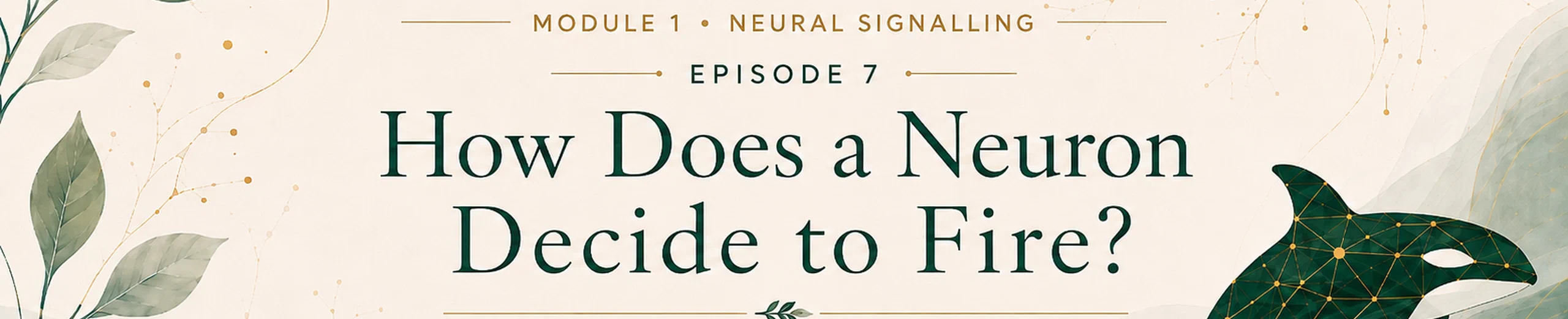 7. How Does a Neuron Decide to Fire? ⚖️