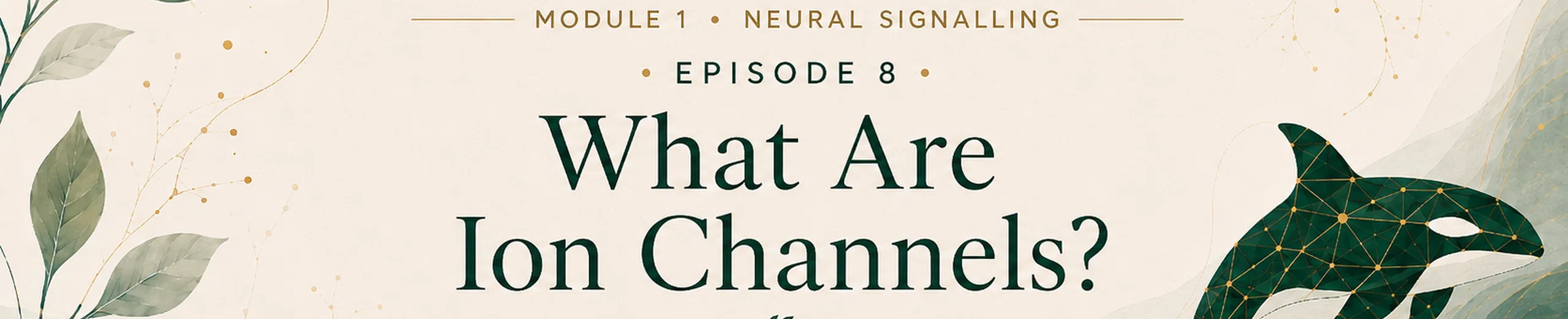 8. What Are Ion Channels?