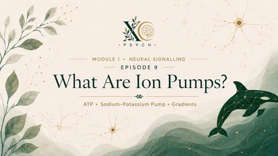 9. What Are Ion Pumps? featured image