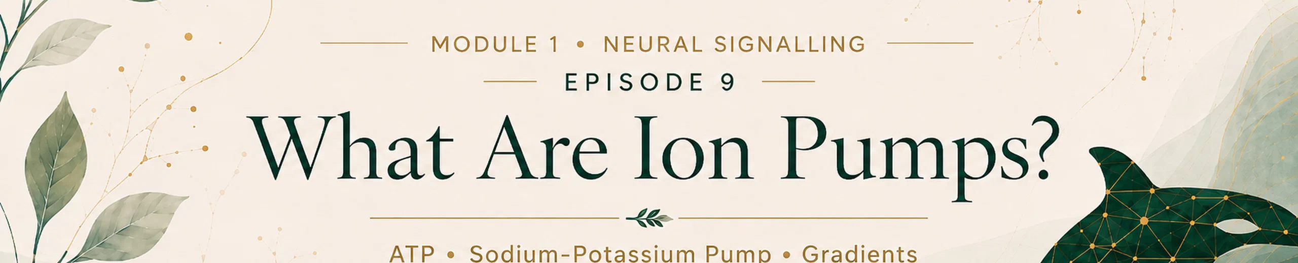 9. What Are Ion Pumps?